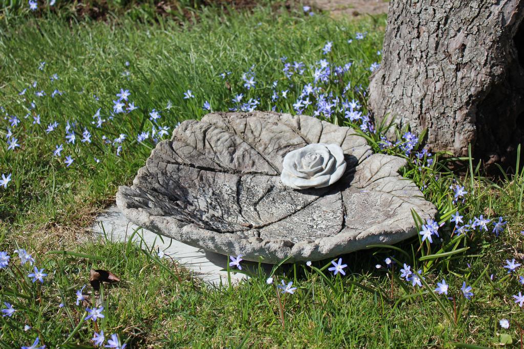 Villa Ingrid Borgholm Oda fotoğraf