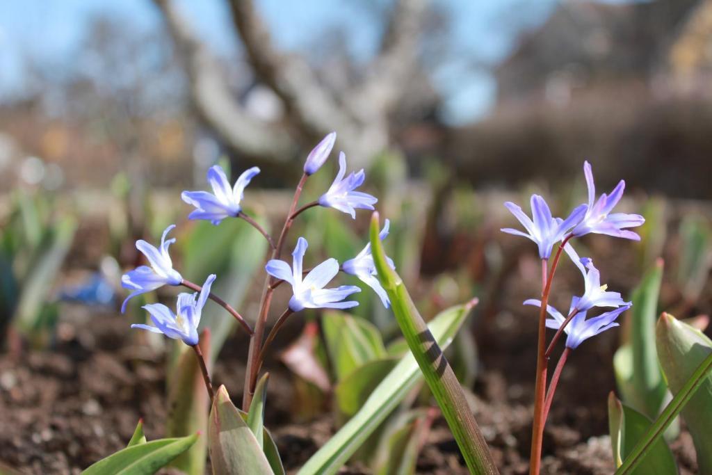 Villa Ingrid Borgholm Dış mekan fotoğraf